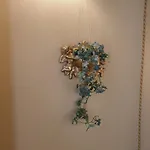 Alloggi Rivetta 3*